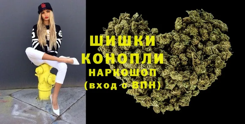 где найти   Короча  Бошки марихуана OG Kush 